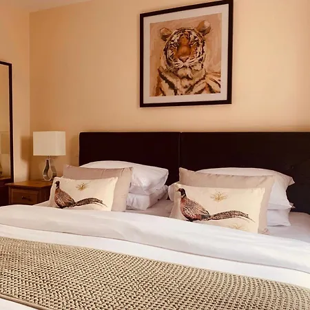 דירה The Webstersland