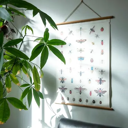 Nature-inspired Flat Near Leith Walk By Guestready Apartment *