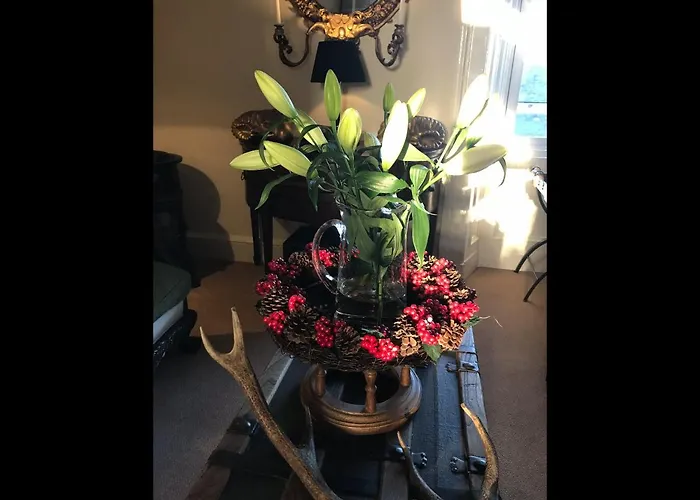 Martins Guest House Гостевой дом 3*