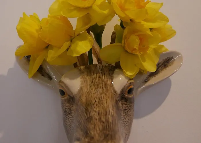 Thistle Centre 에든버러