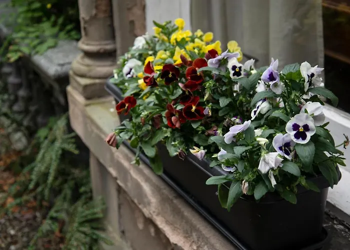 Georgian House 4* Edinburgh