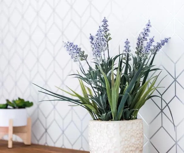 Centre Stylish With Free Parking *