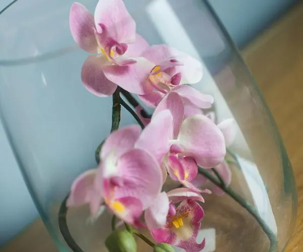 Castle Apt, Modern, Edinburgh