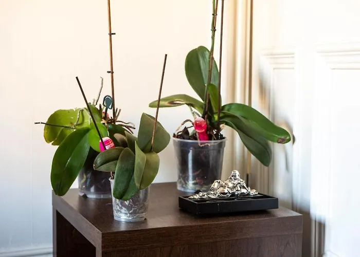 Guestready - Comfortable Flat Close To Centre דירה