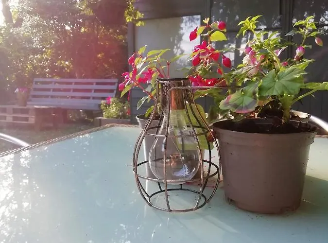 Lowood * إدنبرة