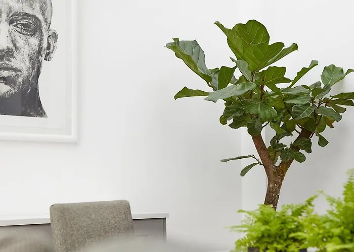 94dr * אדינבורו