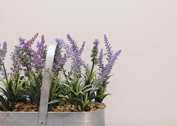 Joivy Beautiful Mews Near Princes Street דירה אדינבורו