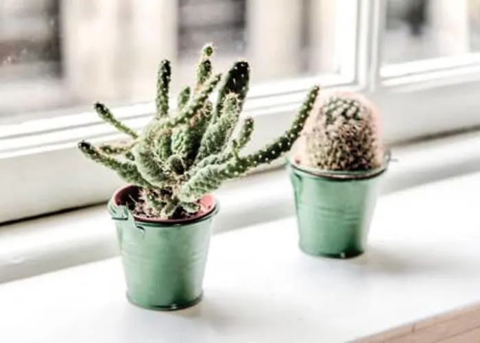 Guestready - Greyfriars Bobby View - Old Town Daire *