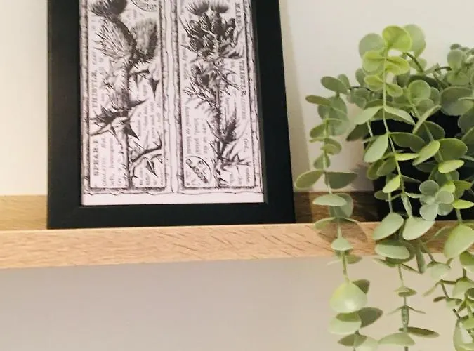 מלון My-canning Street *