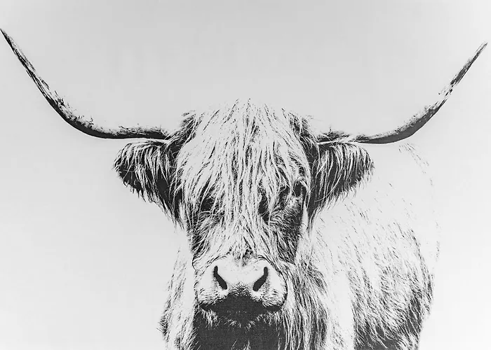 Amazing - Cables Wynd Near The Shore - Free Parking Edinburgh