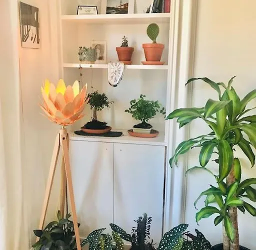 Cosy 2 Bedroom Flat In דירה