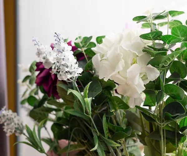 48 Gilmore Place Residences אדינבורו