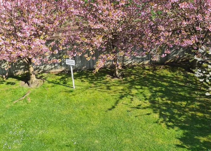 Penthouse Sleeps 11 דירה *