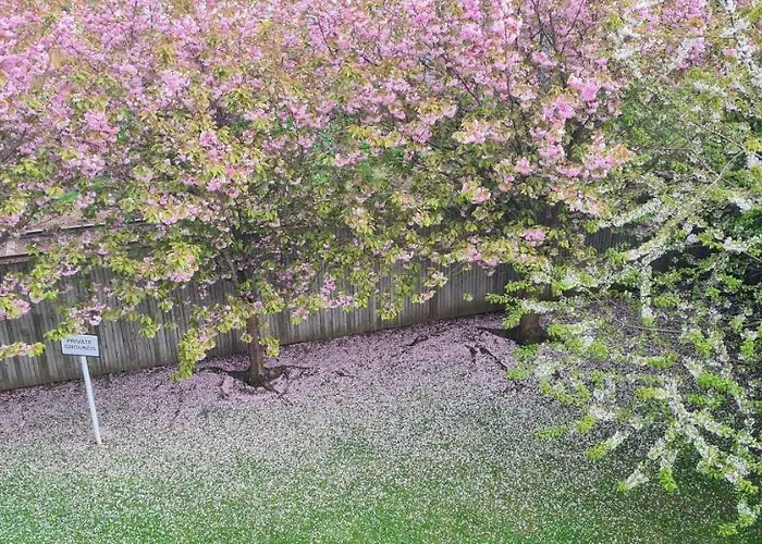 Penthouse Sleeps 11 *