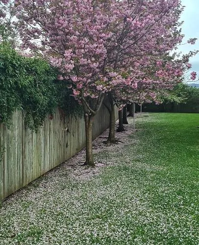 Penthouse Sleeps 11 * אדינבורו