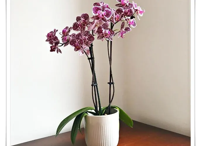 شقة Spacious And Modern 2 Bedroom Flat Near The Centre