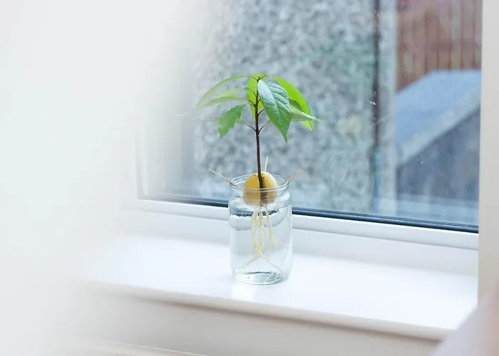 Lele's Flat - 15 Minutes To Airport & Centre Homestay *