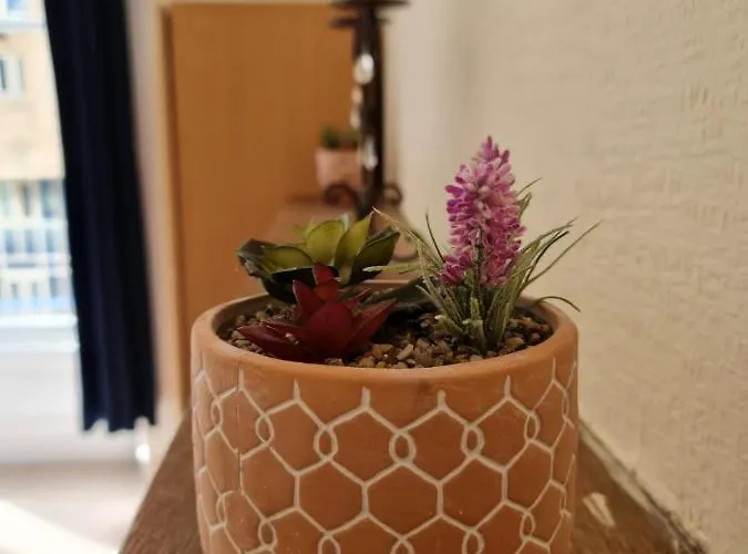 Apex Haymarket 2 אדינבורו