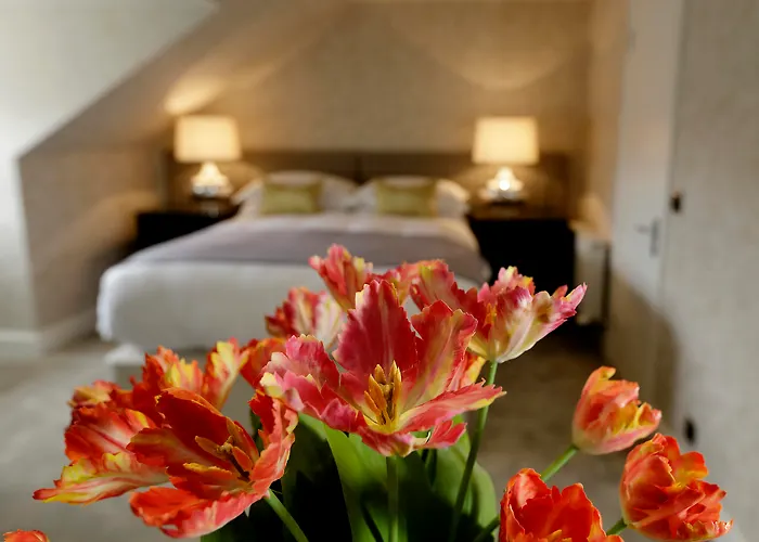 Nira Caledonia Edinburgh