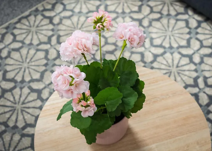 Downtown And 1 Bed In