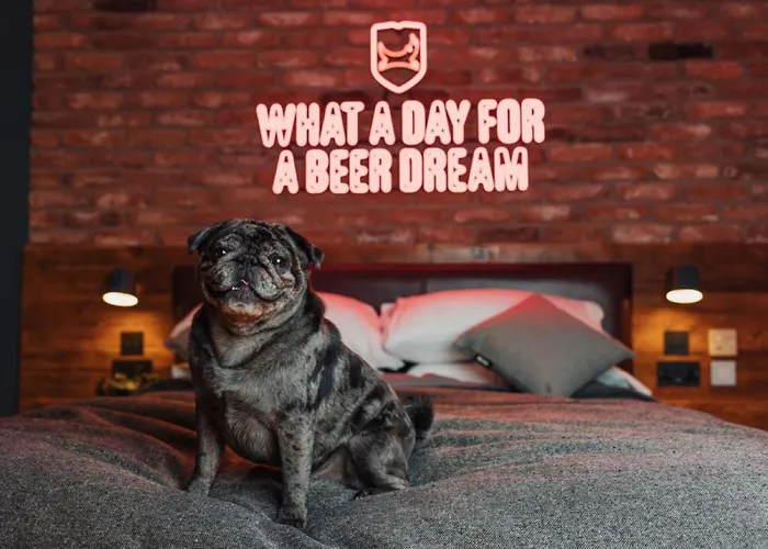 Brewdog Doghouse 4*