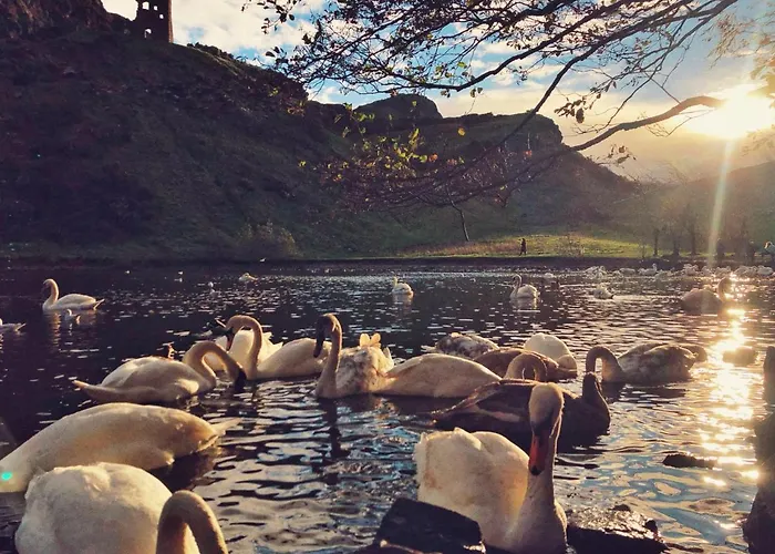 شقة Meadowbank 1-bedroom Flat *