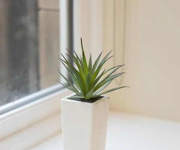 New 3-bedroom Close To Centre *