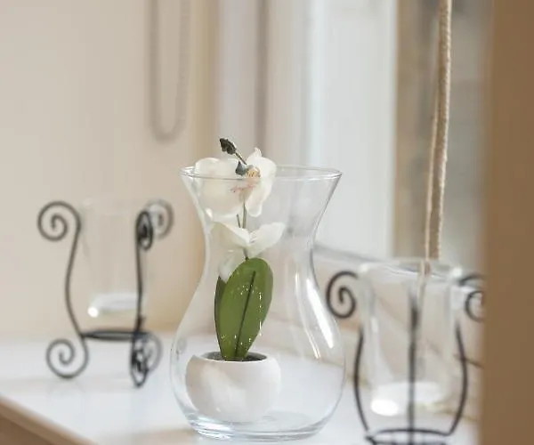 New 3-bedroom Close To Centre شقة