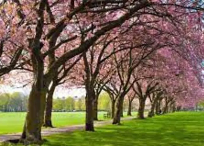 City Apartment Apartman Edinburgh