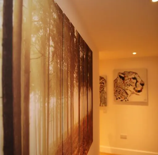 Pearl - Dalry House Апартаменты *