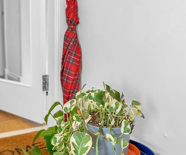 Jamson Pl - 3br Sleeps 7 אדינבורו