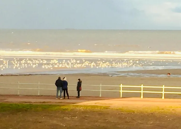 Loft In Joppa Edinburgh