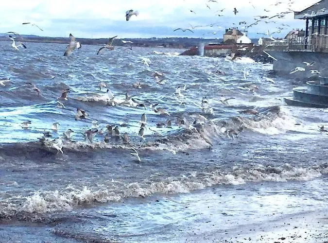 Apartament Loft In Joppa Edynburg