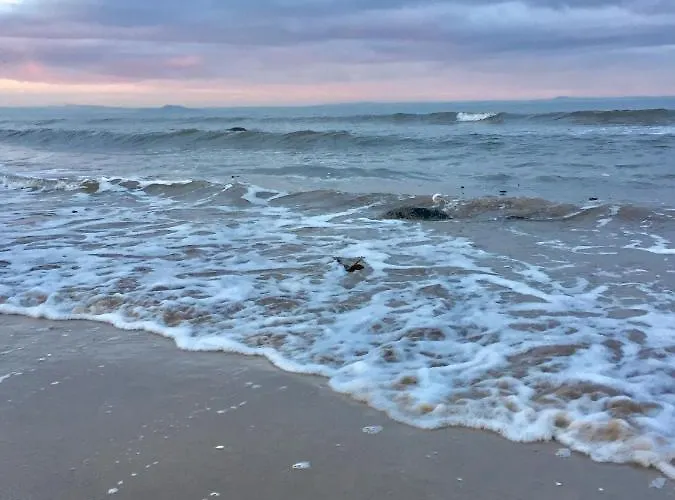 Lejlighed Loft In Joppa *