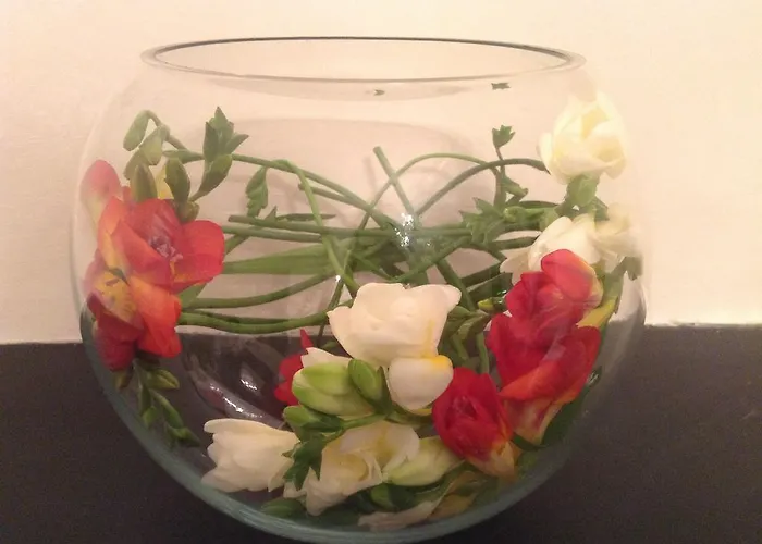 Ailsa Guest house Edinburgh