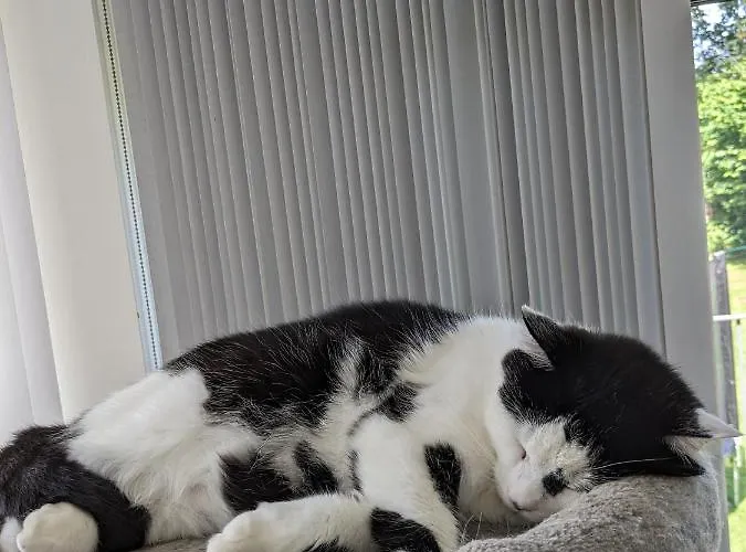 Private With Terrace And Free Parking * Edinburgh