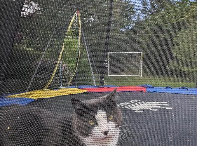 Private With Terrace And Free Parking