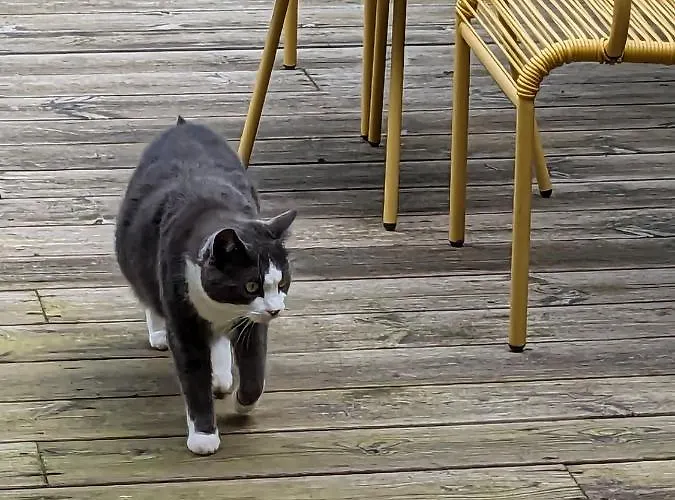 Homestay Private With Terrace And Free Parking