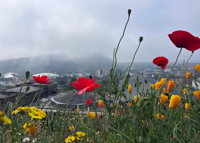 Garden Flat Apartment *