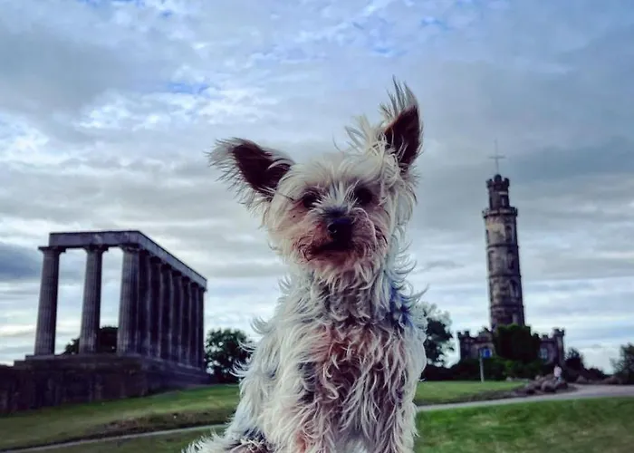 Garden Flat * אדינבורו