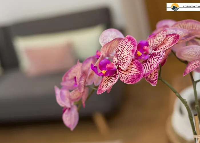 Lady Wynd - 1 Bed * אדינבורו