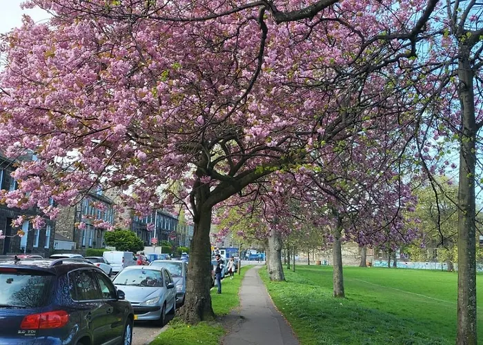 Mackenzie Konukevi Edinburgh