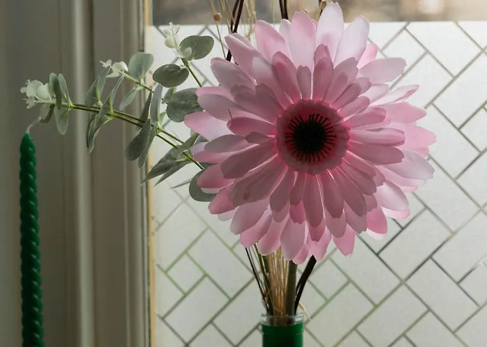 Apartmán Cosy Leith Escape - Edinburgh