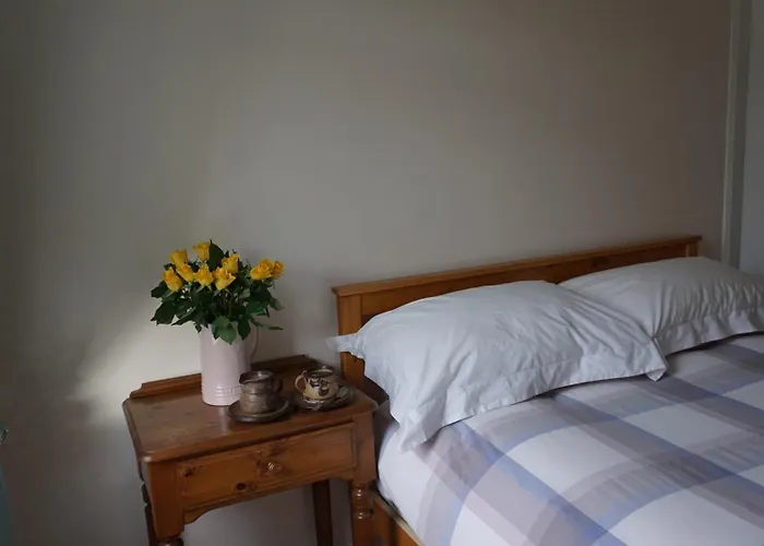 Homestay Dryden Gardens *
