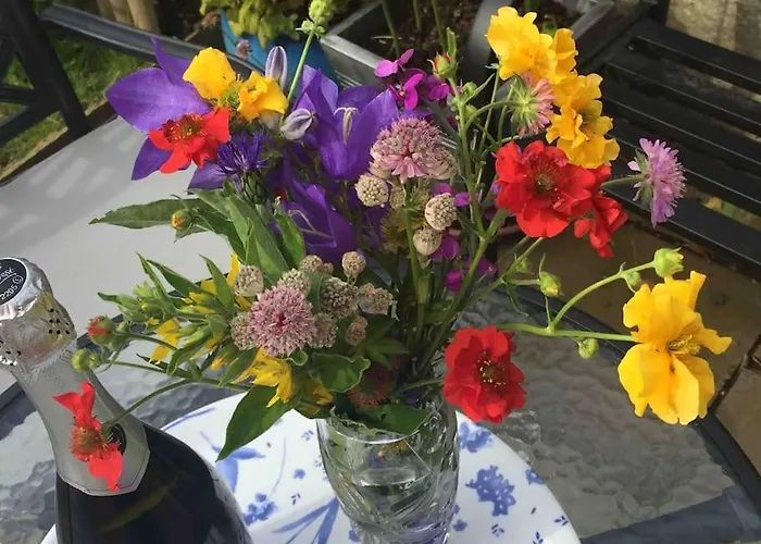 Daire Wardie Garden *