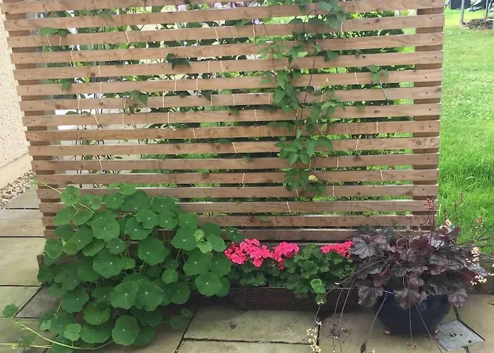 Wardie Garden *