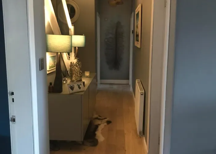 Ultra Stylish Furnished In Edinburg