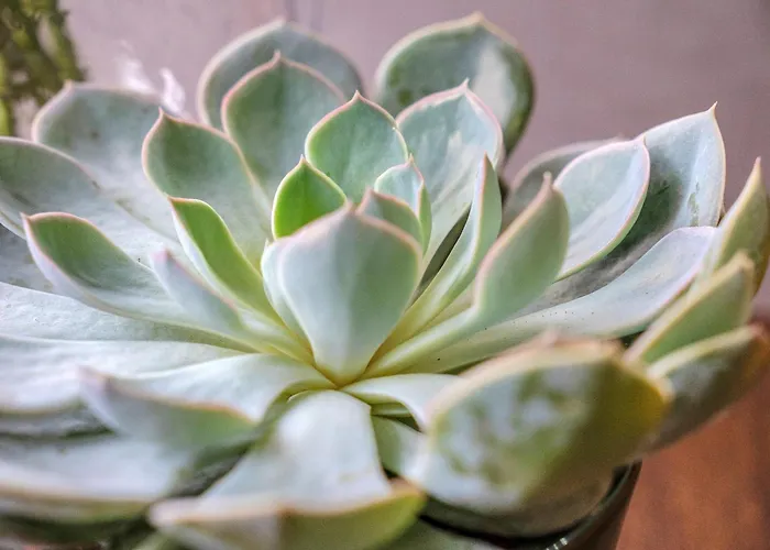 Guestready - Serenity Flat Near St. Centre דירה אדינבורו