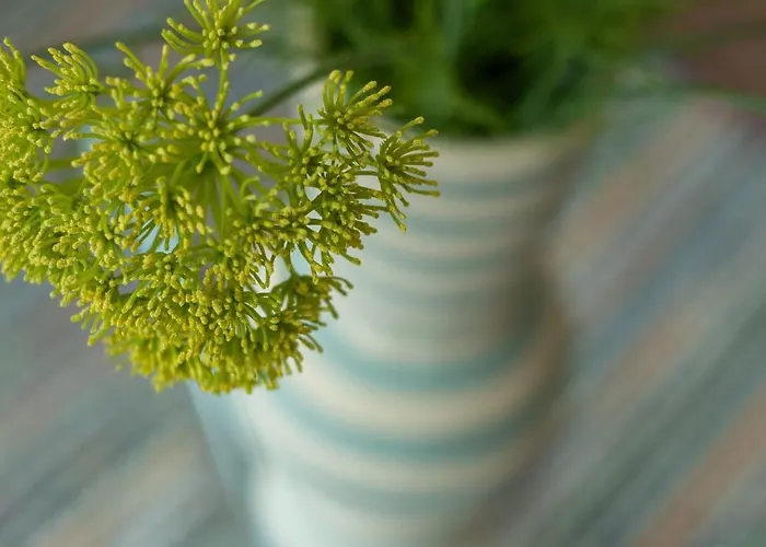 Ground Floor 2 Bed Flat Slateford אדינבורו