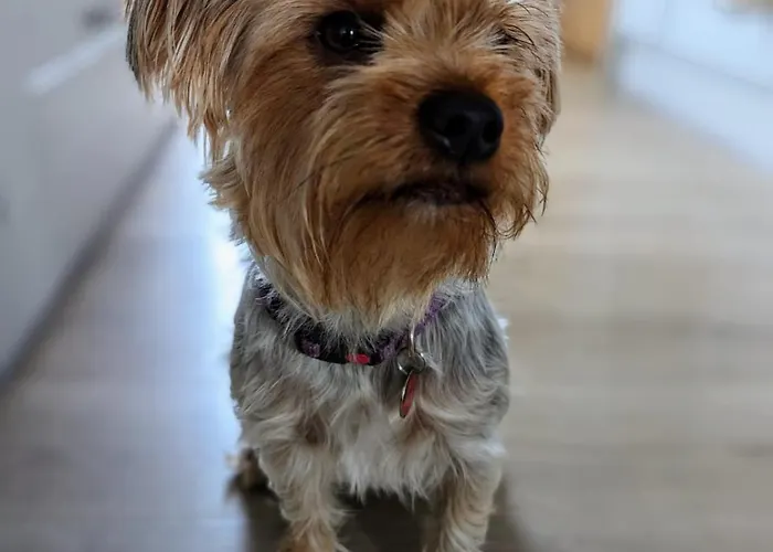 Homestay Cosy Guest In A Family With Private Bathroom And Free Parking *